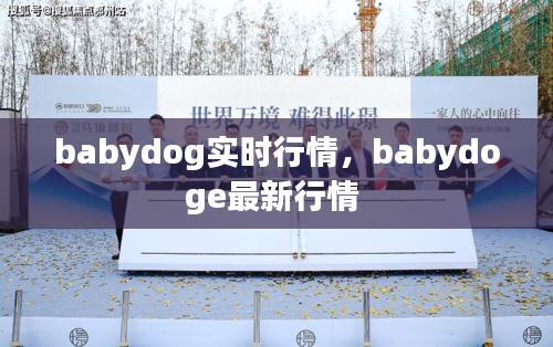 babydog實時行情，babydoge最新行情 