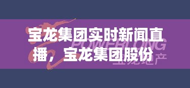 寶龍集團實時新聞直播，寶龍集團股份 