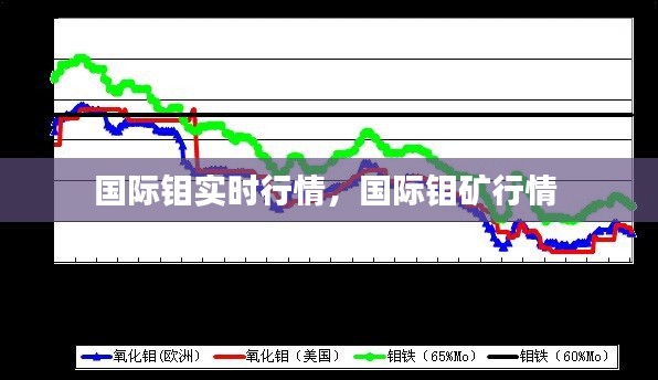 2024年12月19日 第13頁(yè)