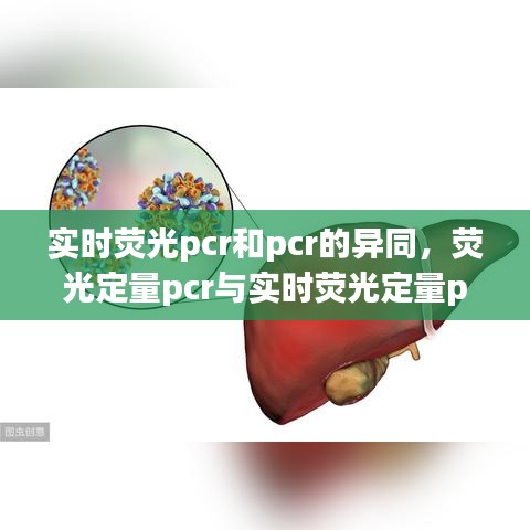 實(shí)時(shí)熒光pcr和pcr的異同，熒光定量pcr與實(shí)時(shí)熒光定量pcr有啥區(qū)別 