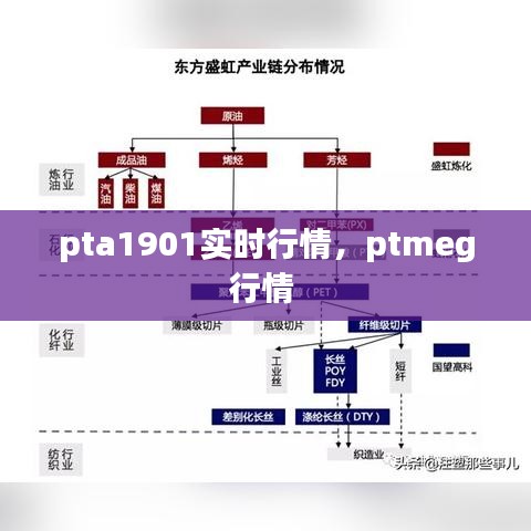 pta1901實(shí)時行情，ptmeg行情 