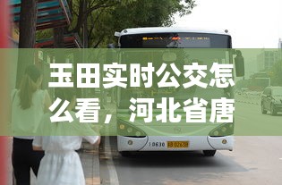 玉田實時公交怎么看，河北省唐山市玉田縣公交車 