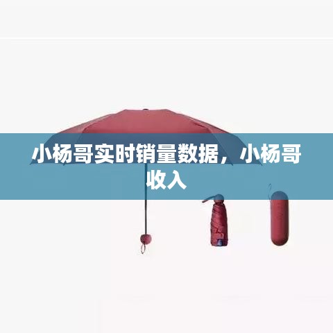 小楊哥實時銷量數(shù)據(jù)，小楊哥 收入 