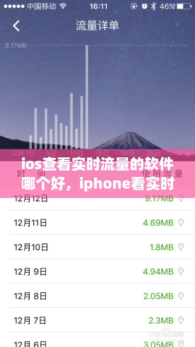 ios查看實(shí)時(shí)流量的軟件哪個(gè)好，iphone看實(shí)時(shí)流量 