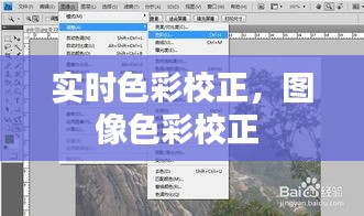 實時色彩校正，圖像色彩校正 