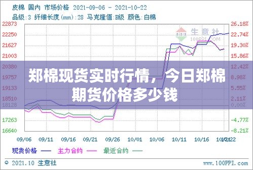 鄭棉現(xiàn)貨實時行情，今日鄭棉期貨價格多少錢 