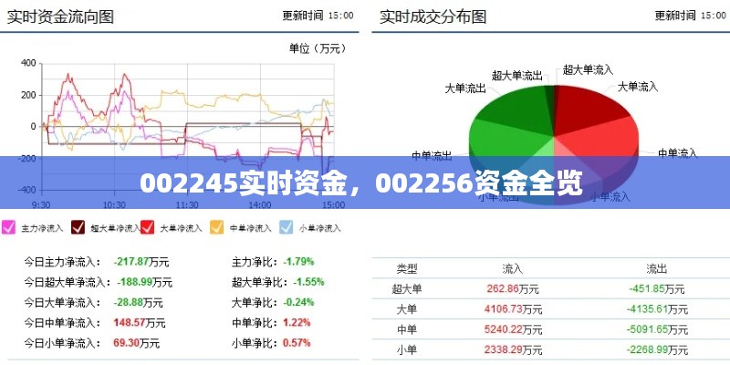 002245實(shí)時(shí)資金，002256資金全覽 