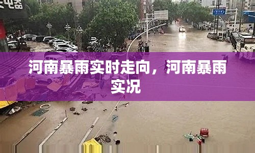 河南暴雨實(shí)時(shí)走向，河南暴雨實(shí)況 