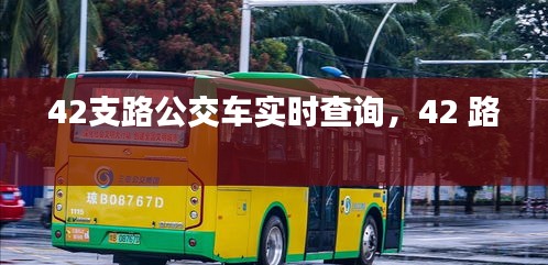 42支路公交車實(shí)時(shí)查詢，42 路 