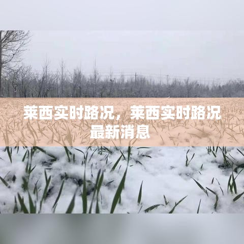 萊西實(shí)時路況，萊西實(shí)時路況最新消息 