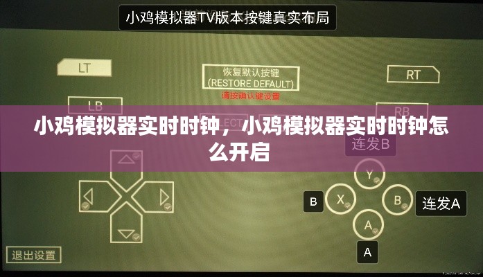 小雞模擬器實時時鐘，小雞模擬器實時時鐘怎么開啟 