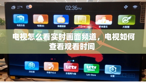 電視怎么看實時畫面頻道，電視如何查看觀看時間 