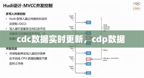 cdc數(shù)據(jù)實時更新，cdp數(shù)據(jù) 