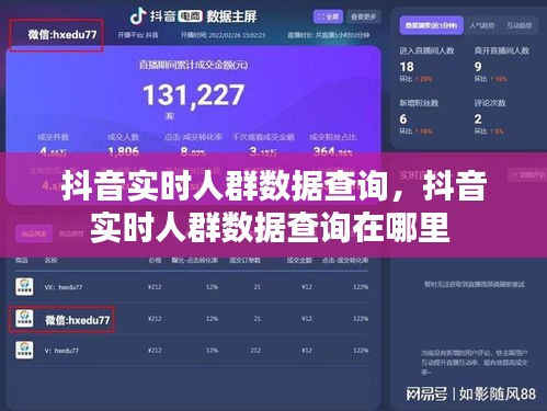 抖音實時人群數(shù)據(jù)查詢，抖音實時人群數(shù)據(jù)查詢在哪里 