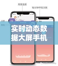 實時動態(tài)數(shù)據(jù)大屏手機版，實時動態(tài)意思 