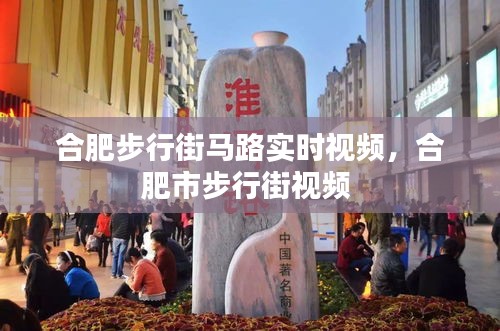 合肥步行街馬路實時視頻，合肥市步行街視頻 