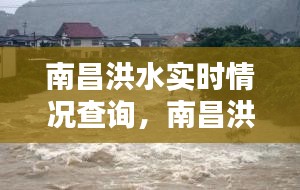 南昌洪水實(shí)時(shí)情況查詢，南昌洪水災(zāi)害 