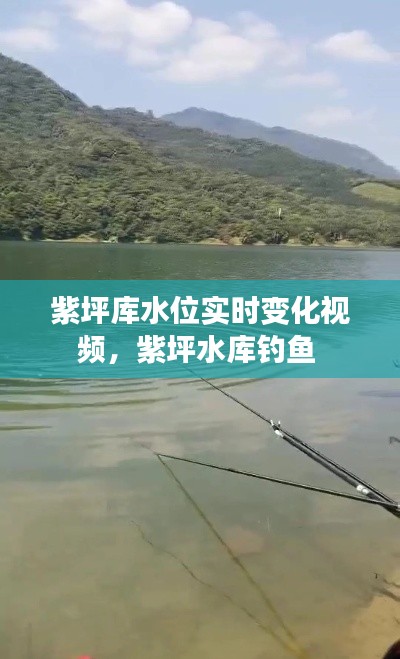 紫坪庫水位實(shí)時(shí)變化視頻，紫坪水庫釣魚 