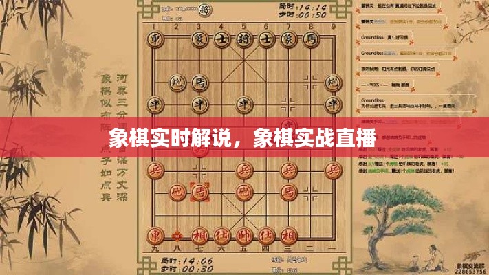 象棋實(shí)時(shí)解說(shuō)，象棋實(shí)戰(zhàn)直播 