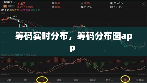 籌碼實時分布，籌碼分布圖app 