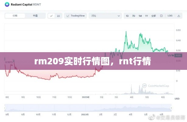 rm209實(shí)時(shí)行情圖，rnt行情 