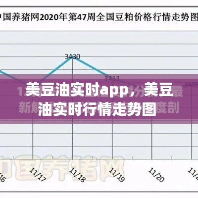 美豆油實(shí)時(shí)app，美豆油實(shí)時(shí)行情走勢圖 