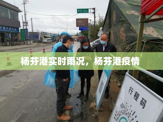 楊芬港實(shí)時(shí)雨況，楊芬港疫情 