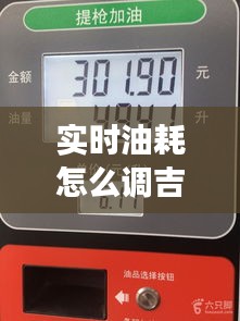 實時油耗怎么調(diào)吉利，吉利的油耗表準嗎 