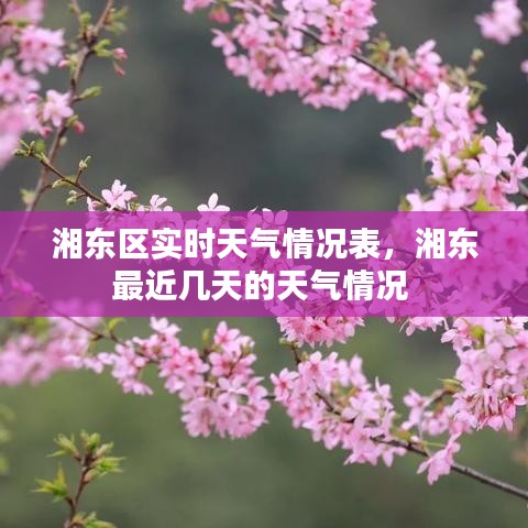 湘東區(qū)實(shí)時(shí)天氣情況表，湘東最近幾天的天氣情況 