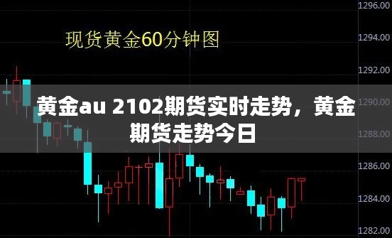 黃金au 2102期貨實(shí)時(shí)走勢(shì)，黃金期貨走勢(shì)今日 