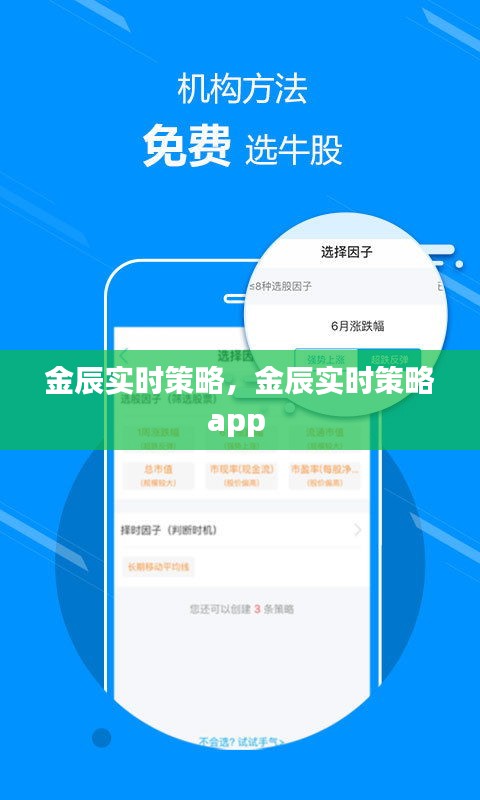 金辰實時策略，金辰實時策略app 