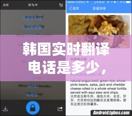 韓國實(shí)時(shí)翻譯電話是多少，韓國中文翻譯電話 