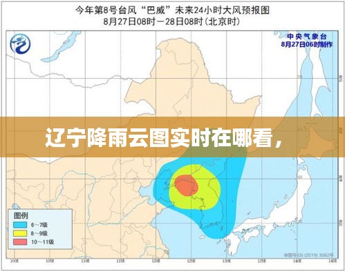 遼寧降雨云圖實時在哪看， 