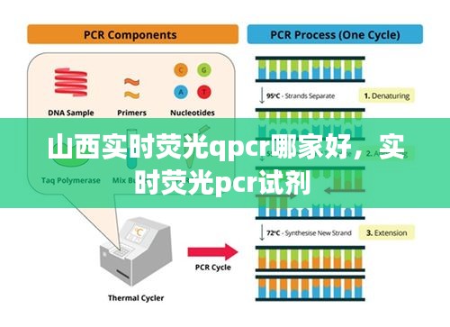 山西實時熒光qpcr哪家好，實時熒光pcr試劑 