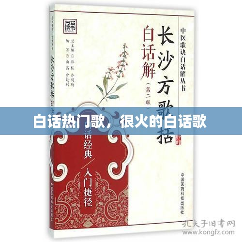 白話(huà)熱門(mén)歌，很火的白話(huà)歌 