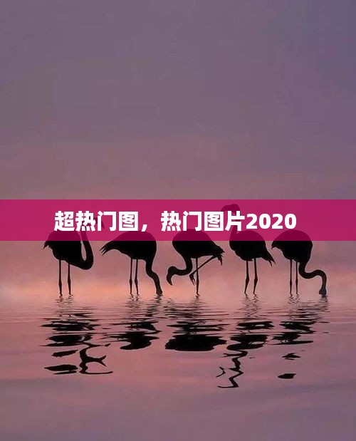 超熱門圖，熱門圖片2020 