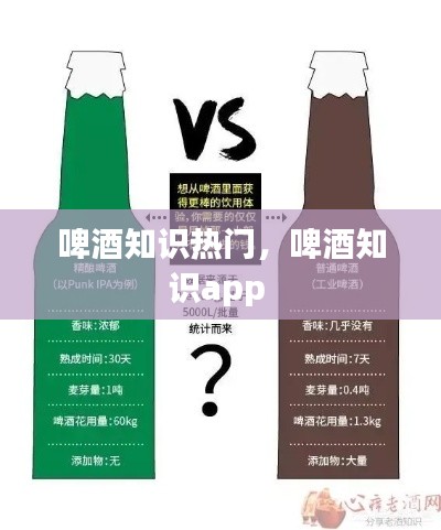 啤酒知識熱門，啤酒知識app 