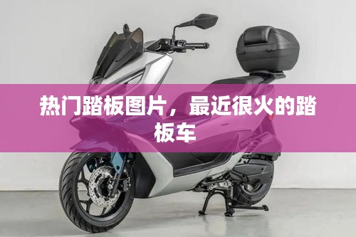 熱門踏板圖片，最近很火的踏板車 