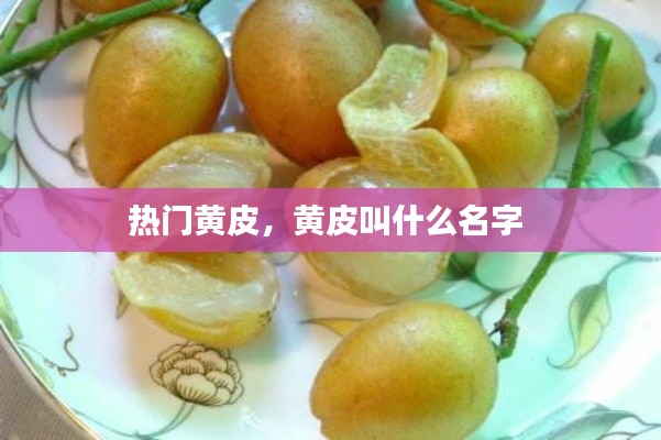 熱門黃皮，黃皮叫什么名字 