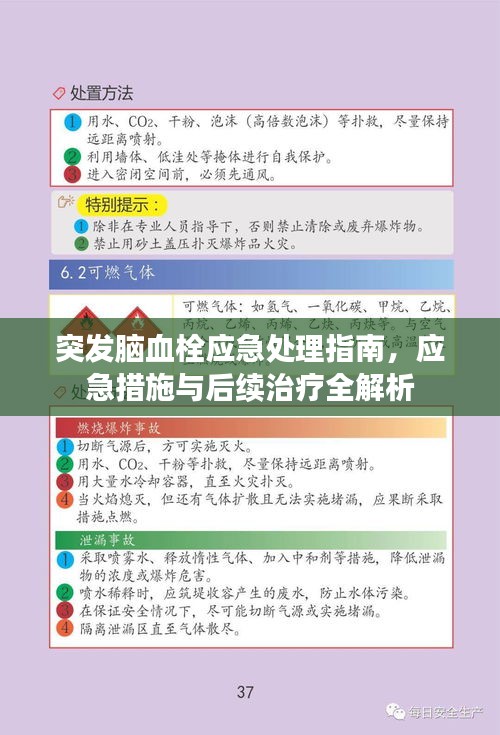 突發(fā)腦血栓應(yīng)急處理指南，應(yīng)急措施與后續(xù)治療全解析